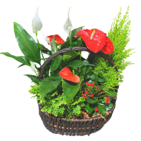 Tropical Holiday Planter Basket