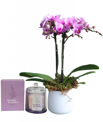 Loving Retreat - Orchid & Candle Set