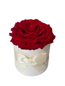 Eternal Single Rose Box - Red