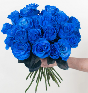 Royal Blue Roses