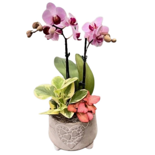 Valentines Stone Heart Orchid Pedestal