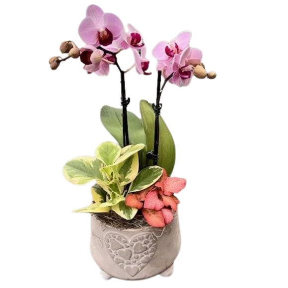 Valentines Stone Heart Orchid Pedestal