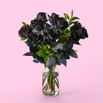 Dozen Black Roses