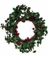 Eucalyptus & Berry Wreath