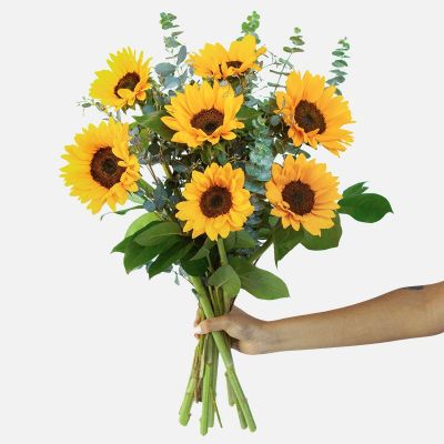 Sunflower Bouquet