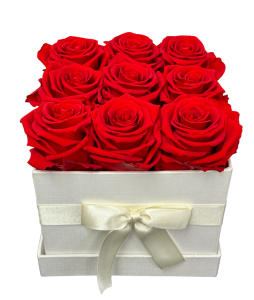 Eternal Rose Box Collection - Red