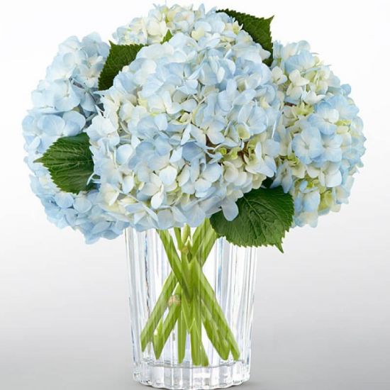 Mississauga Flower Delivery/Baby Flowers Delivery Mississauga- Karen's ...