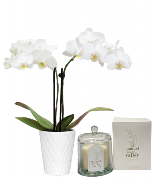 White Orchid & Candle Set