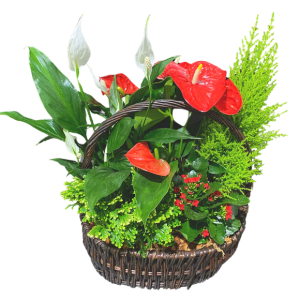 Tropical Holiday Planter Basket