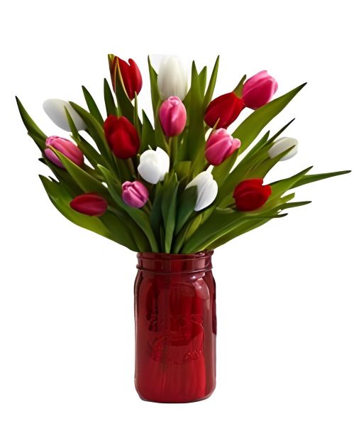 Sweetheart Tulips