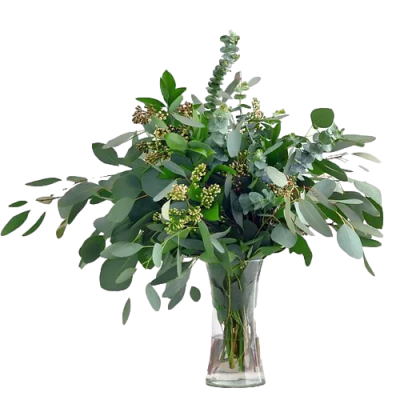 Fresh Eucalyptus Arrangement