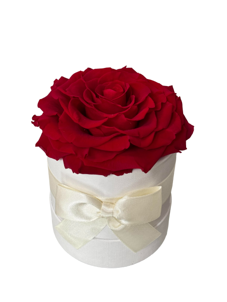 Eternal Single Rose Box