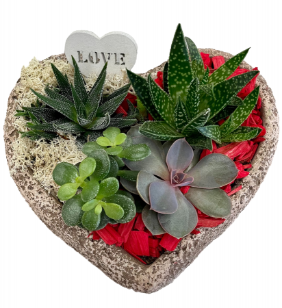 Loving Heart Succulent Planter