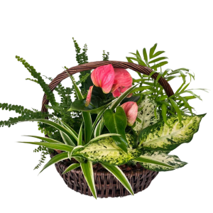 Blooming Garden Basket