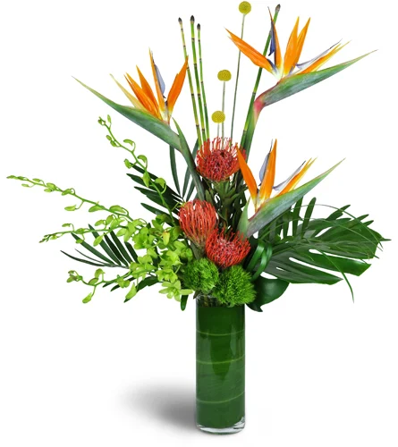 Same-Day Halliburton Flower Delivery - Local Haliburton Florist | Send ...